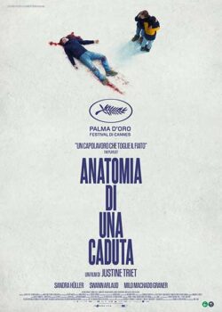 Anatomia di una caduta