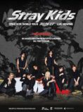 Stray Kids World Tour “Run It”: Il Live Viewing