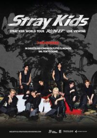 Stray Kids World Tour “Run It”: Il Live Viewing